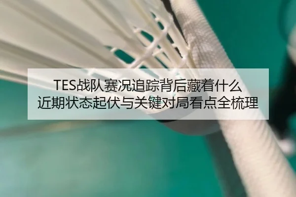 TES战队赛况追踪背后藏着什么 近期状态起伏与关键对局看点全梳理